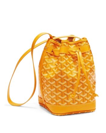 Goyard Petit Flot bucket bag